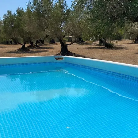Mimosa Tortosa