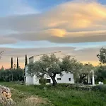 Mimosa Guest house Tortosa