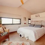Mimosa Guest house *