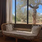 Guest house Mimosa