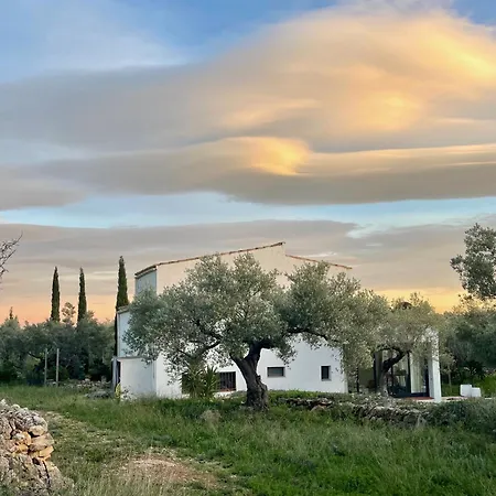 Mimosa בית הארחה טורטוסה