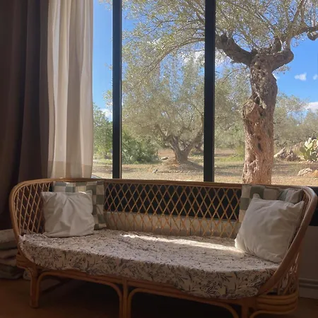 בית הארחה Mimosa