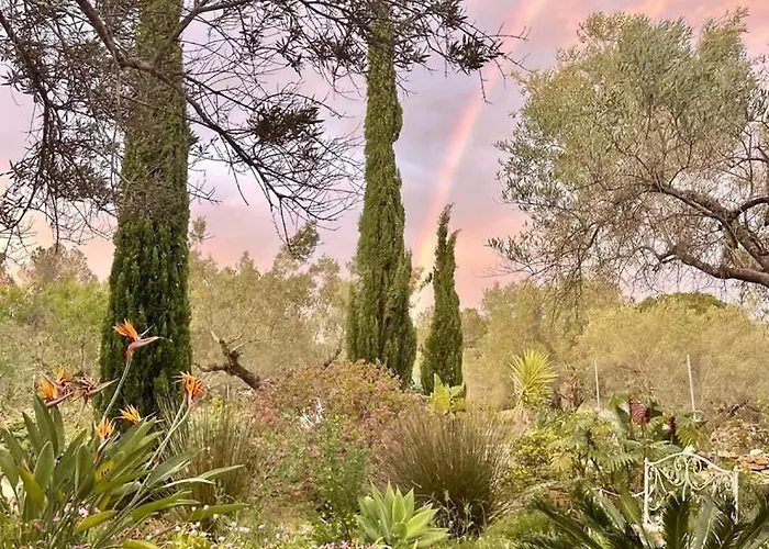 Mimosa בית הארחה