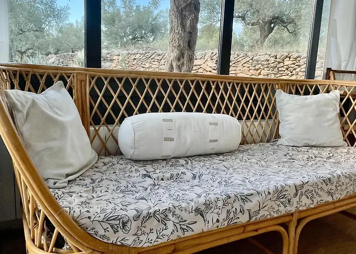 בית הארחה Mimosa טורטוסה